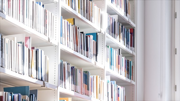 Exzellenz E in Bibliothek Pferdestall (Ausschnitt)